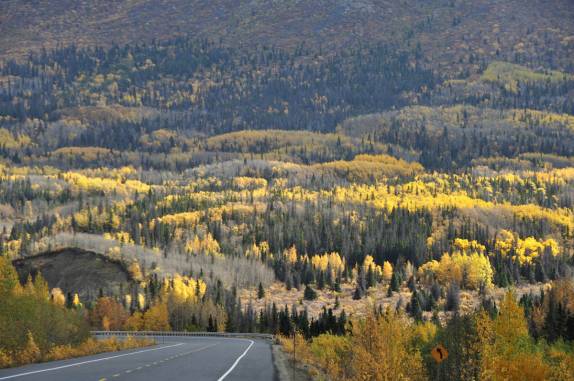 A magnífica paisagem na estrada entre Haines Junction, no Canadá e a fronteira com o Alaska